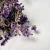 Limonium  paars naturel