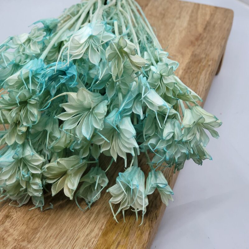Droog Nigella- anijs bloem 5 st takjes blauw