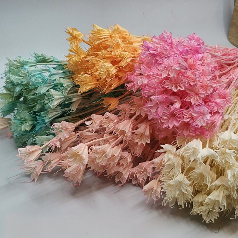 Droog Nigella anijs bloem 5 st takjes rose - Afbeelding 2