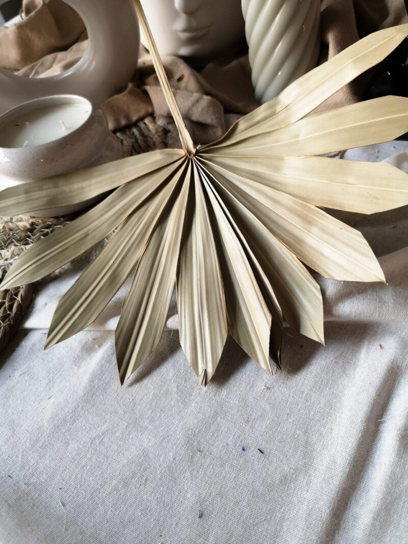 Palm leaf naturel