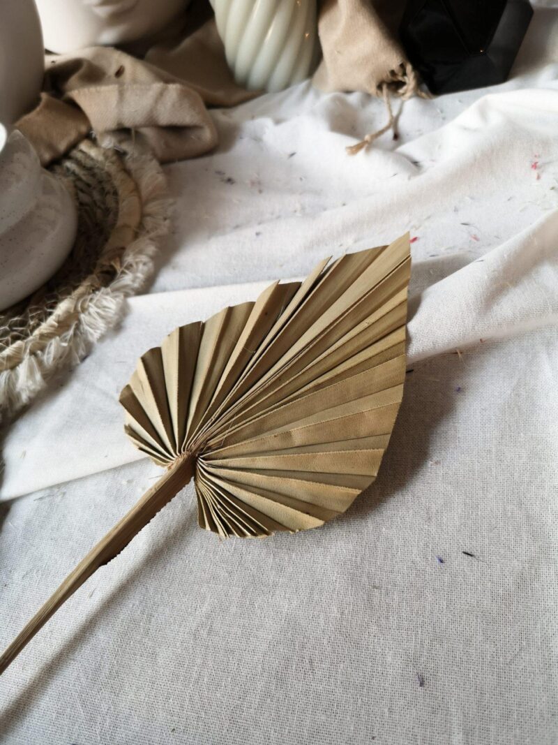 Palm spear naturel