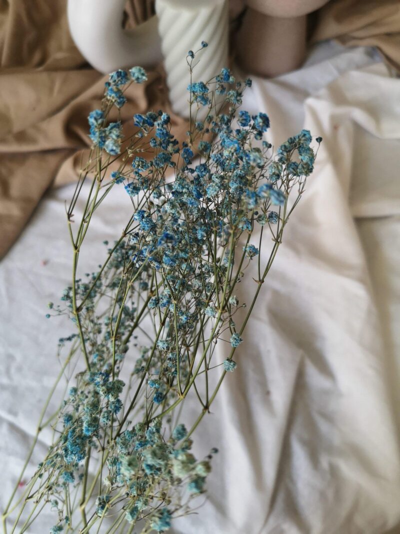Gedroogd Gipskruid Blauw