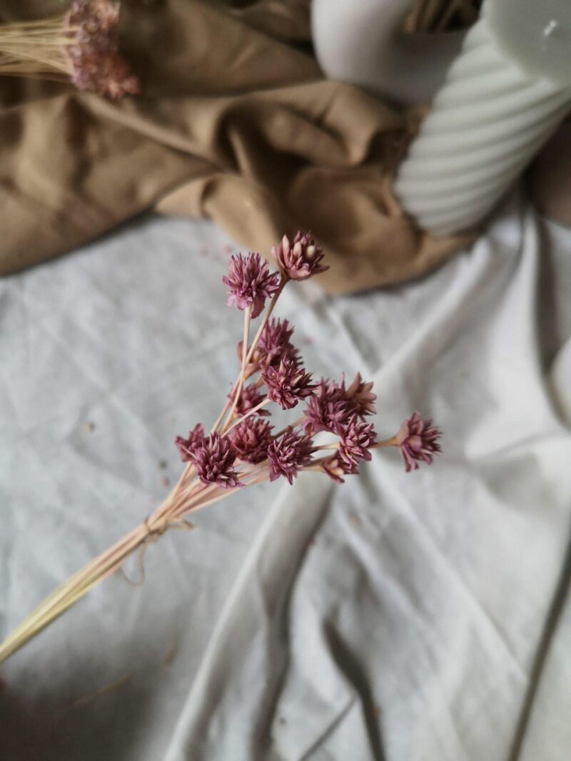 Hill Flower lavendel