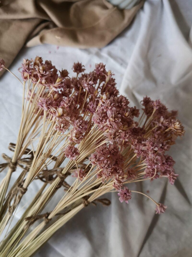 Hill Flower lavendel - Afbeelding 2