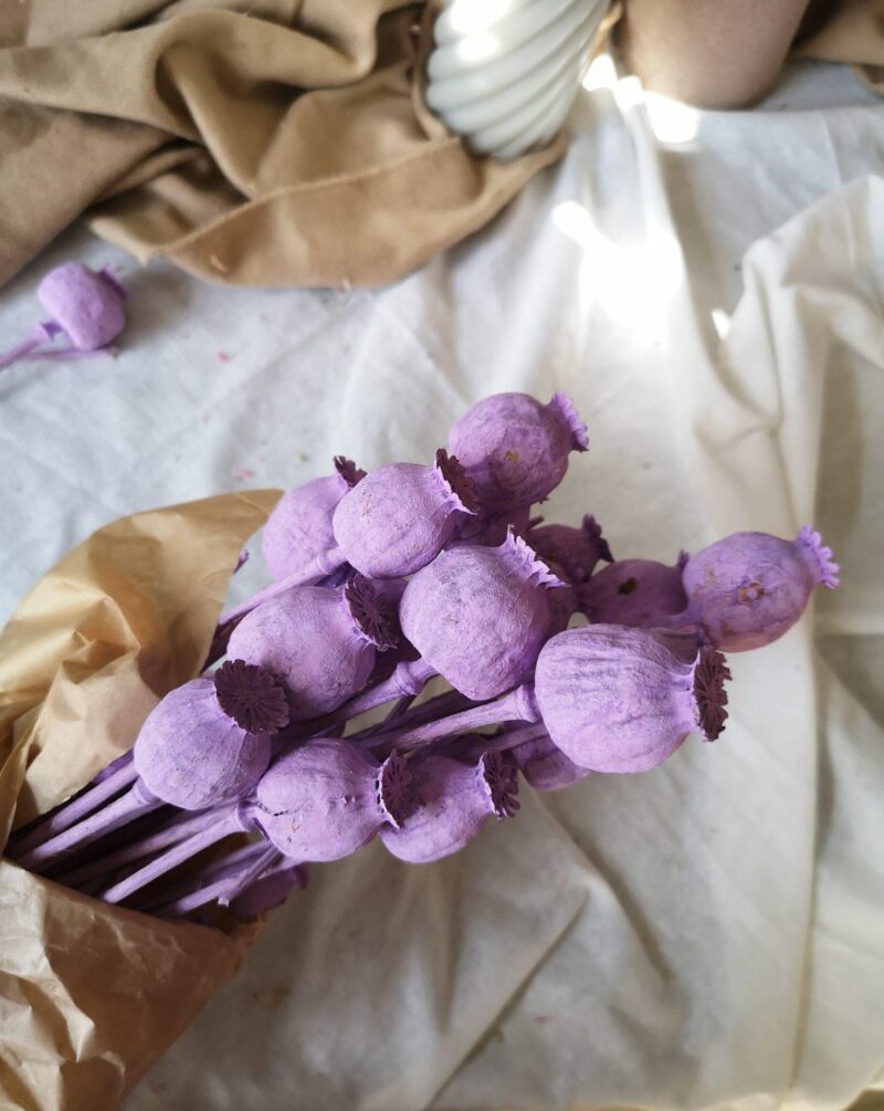 Gedroogde papaver lavendel - Afbeelding 2