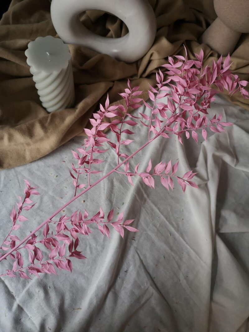 Gepreserveerde Ruscus Roze