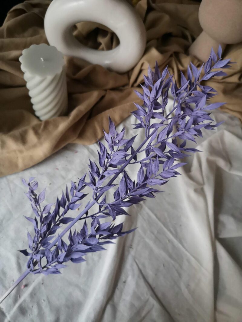 Gepreserveerde ruscus lavendel
