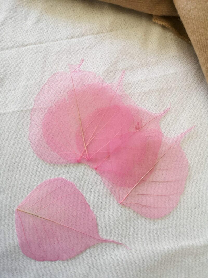 Skelet bladeren roze