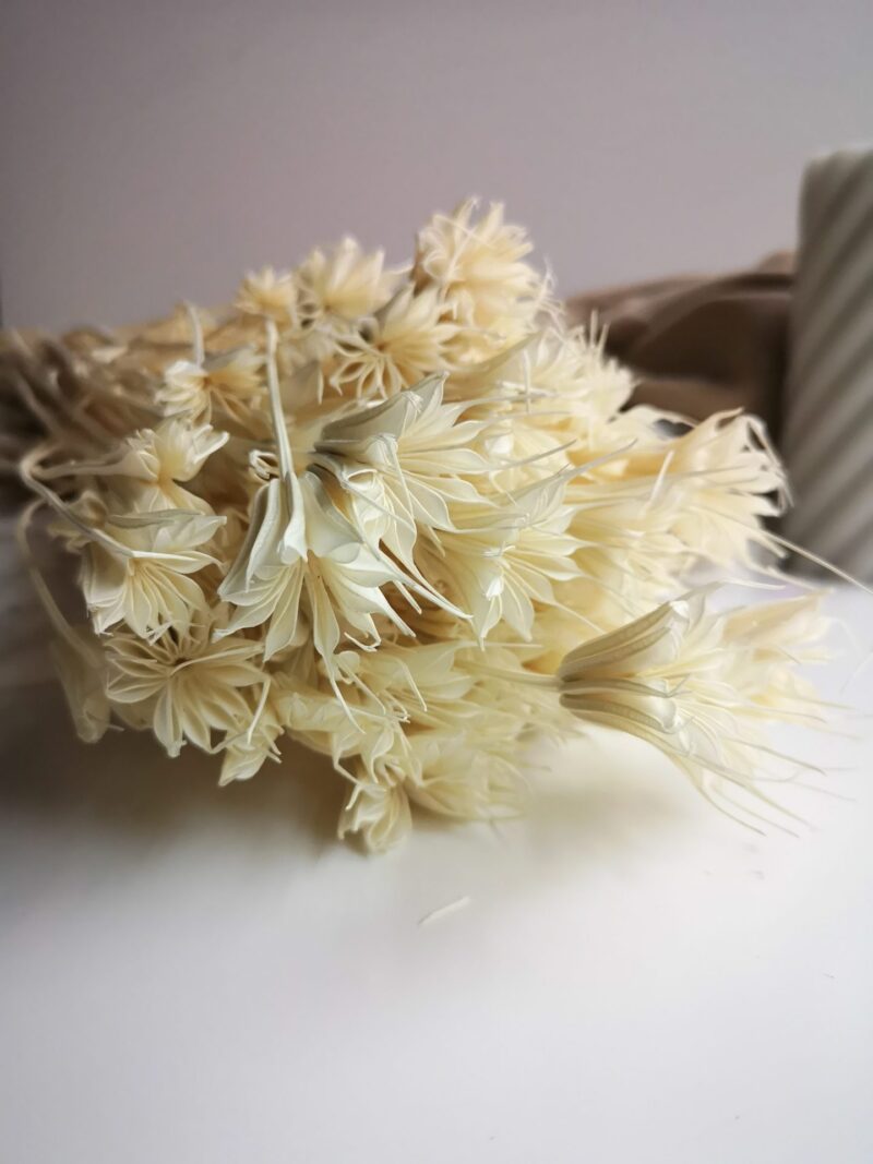 Gedroogde Nigella Creme - Afbeelding 2