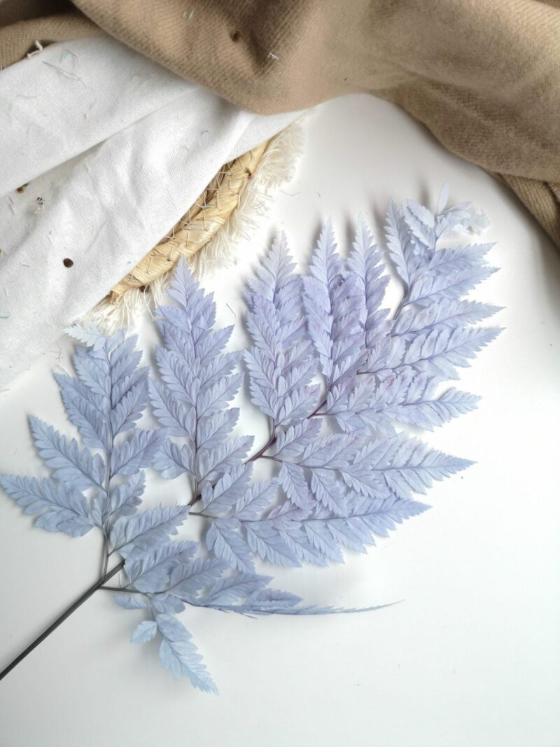 Varen gepreserveerd Leather licht Blauw
