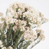 Rijstbloemen wit - Afbeelding 2