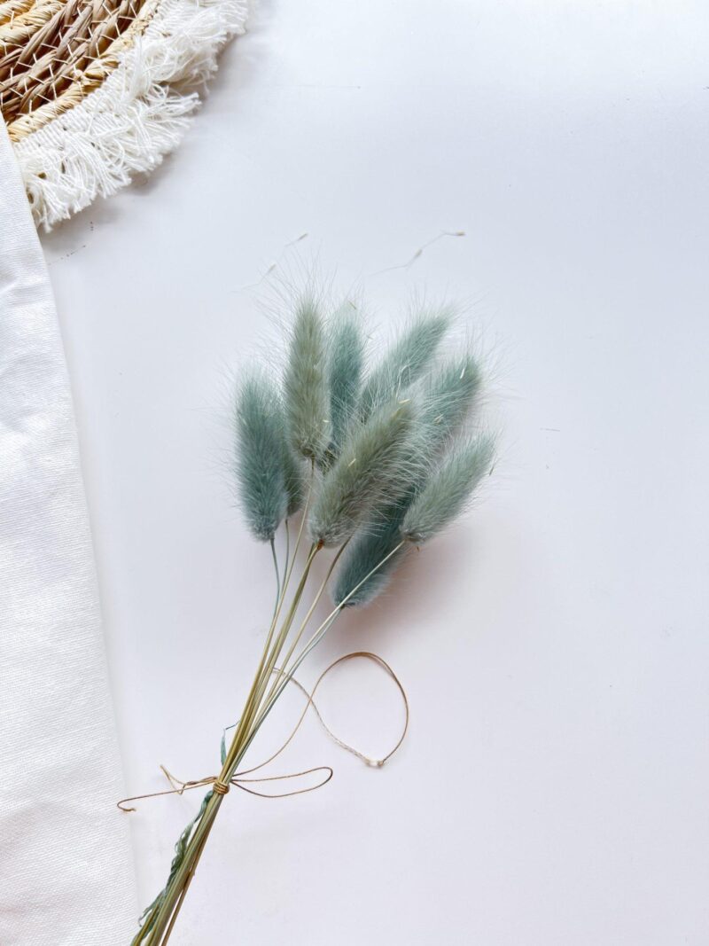 Gedroogde Lagurus Grey Teal
