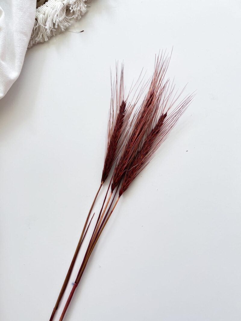Gedroogde triticale hot brown