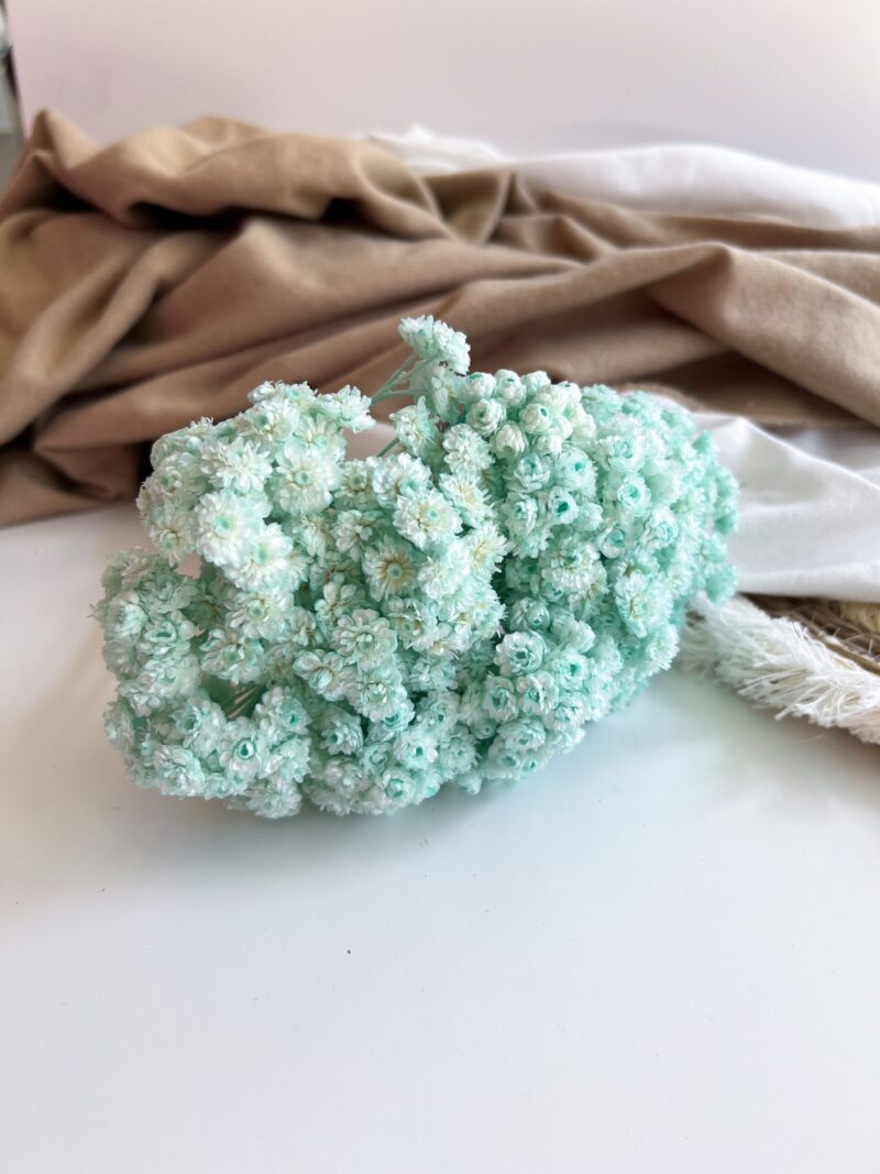 Gedroogde Helichrysum Mint - Afbeelding 2