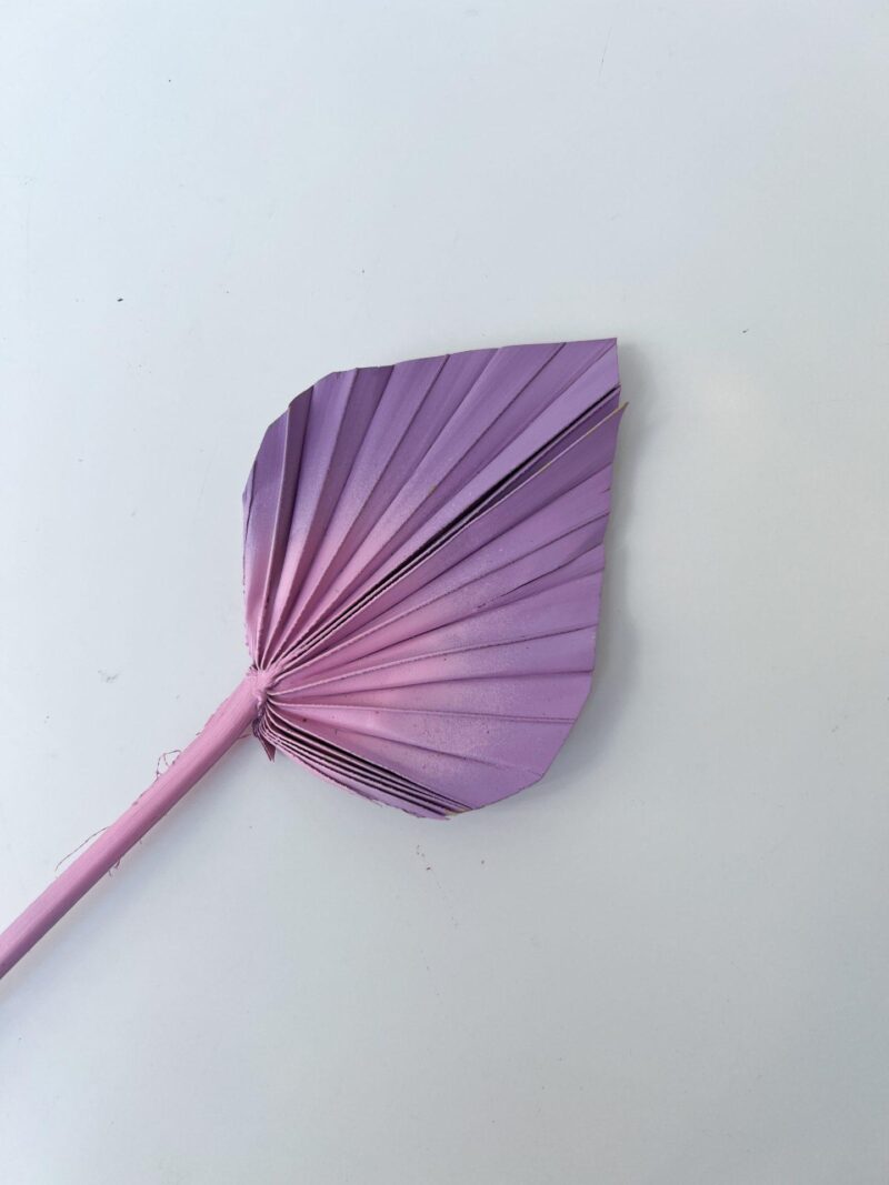 Palm spear heide/roze