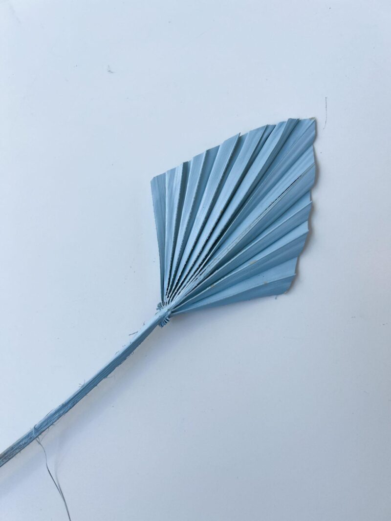 Palm spear baby blue