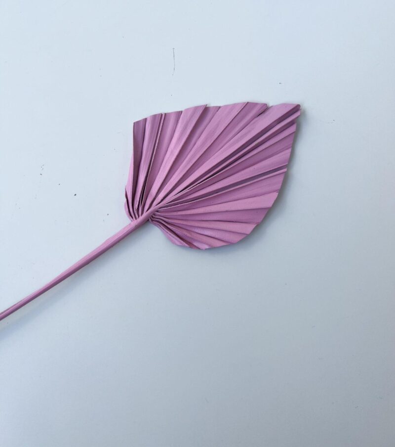 Palm spear roze
