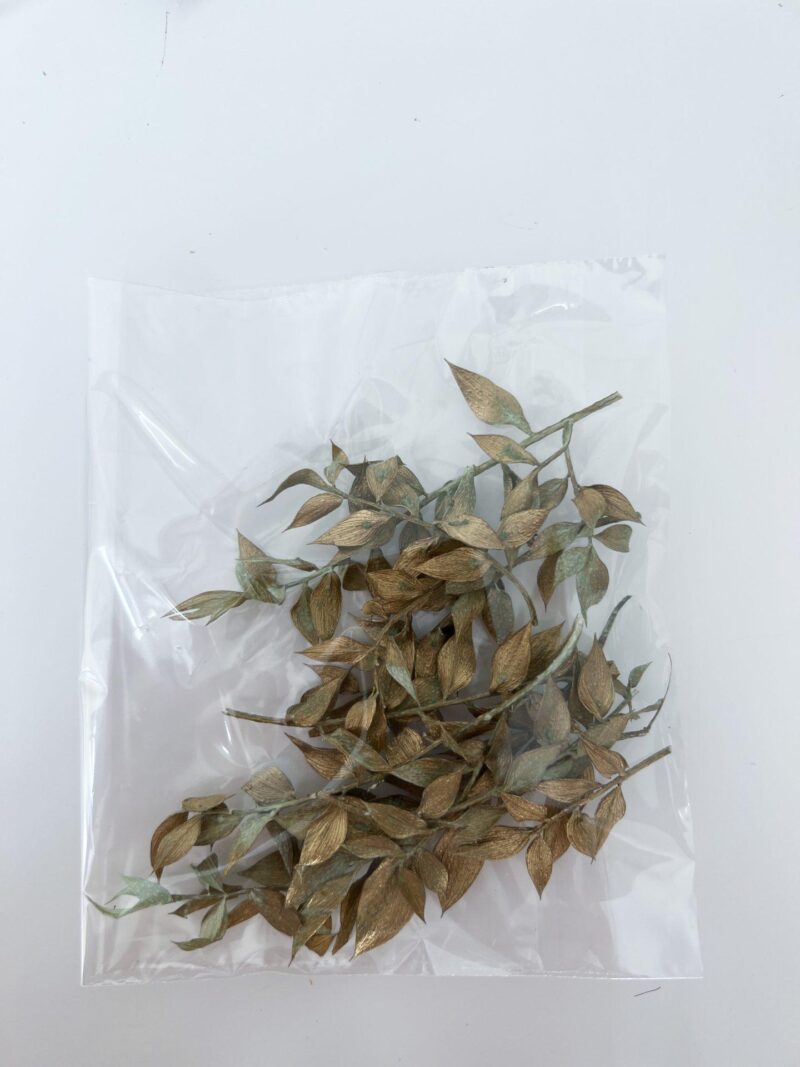Ruscus zakje Vintage Gold