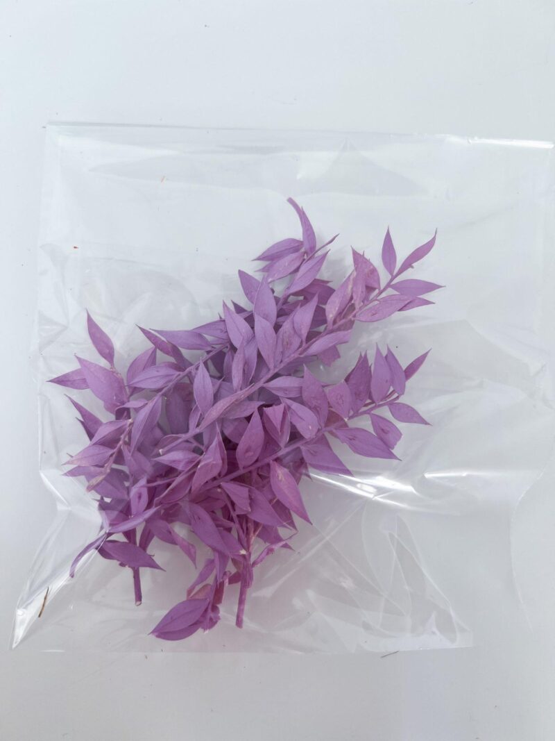 Ruscus zakje Heide