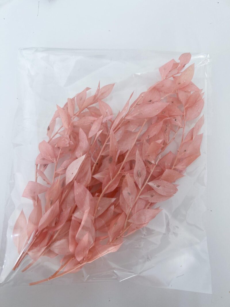 Ruscus zakje Zalm Roze
