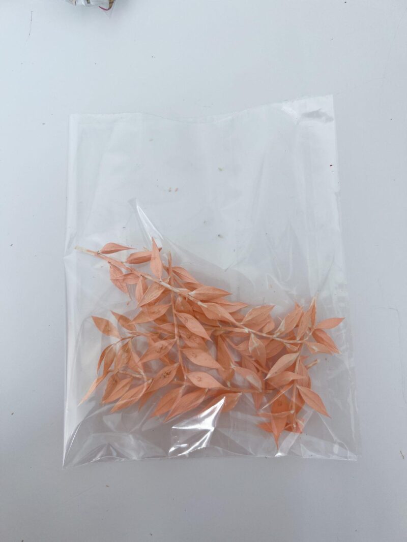 Ruscus zakje peach