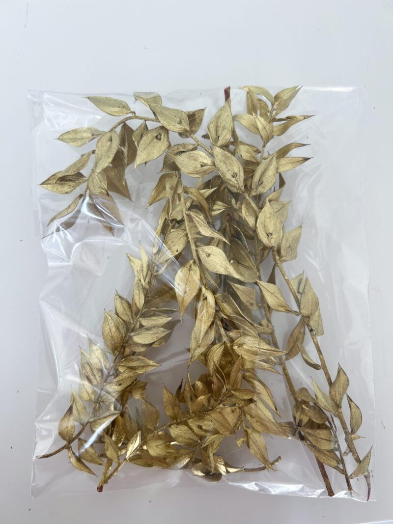 Ruscus Zakje Goud