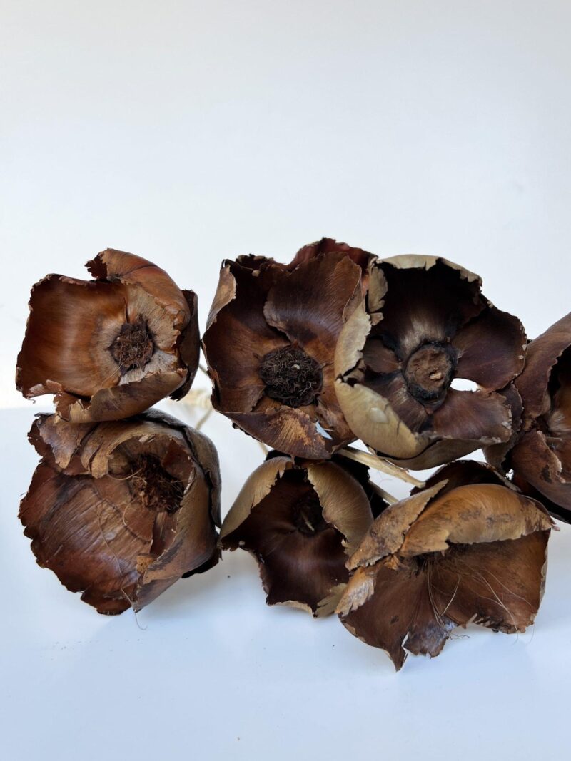 Walnut Flower - Afbeelding 2