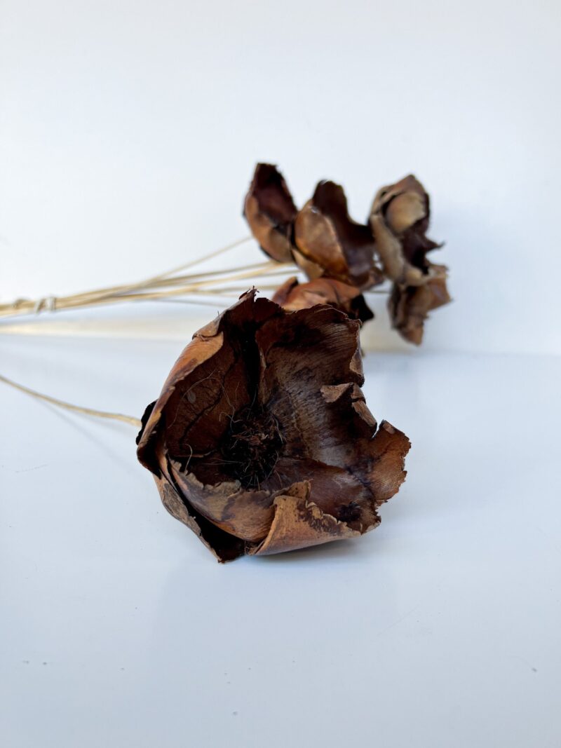 Walnut Flower