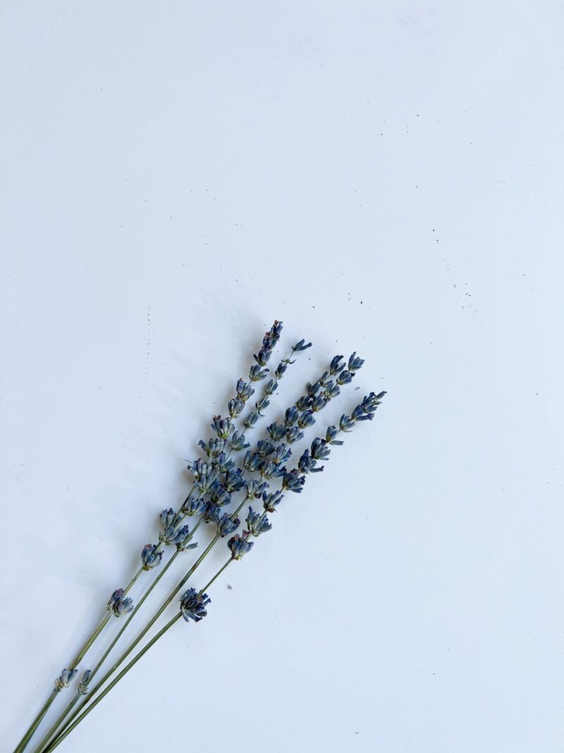 Gedroogde lavendel naturel - Afbeelding 2