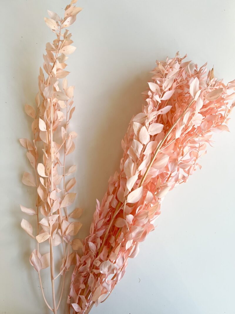 Gepreserveerde ruscus licht roze - Afbeelding 2