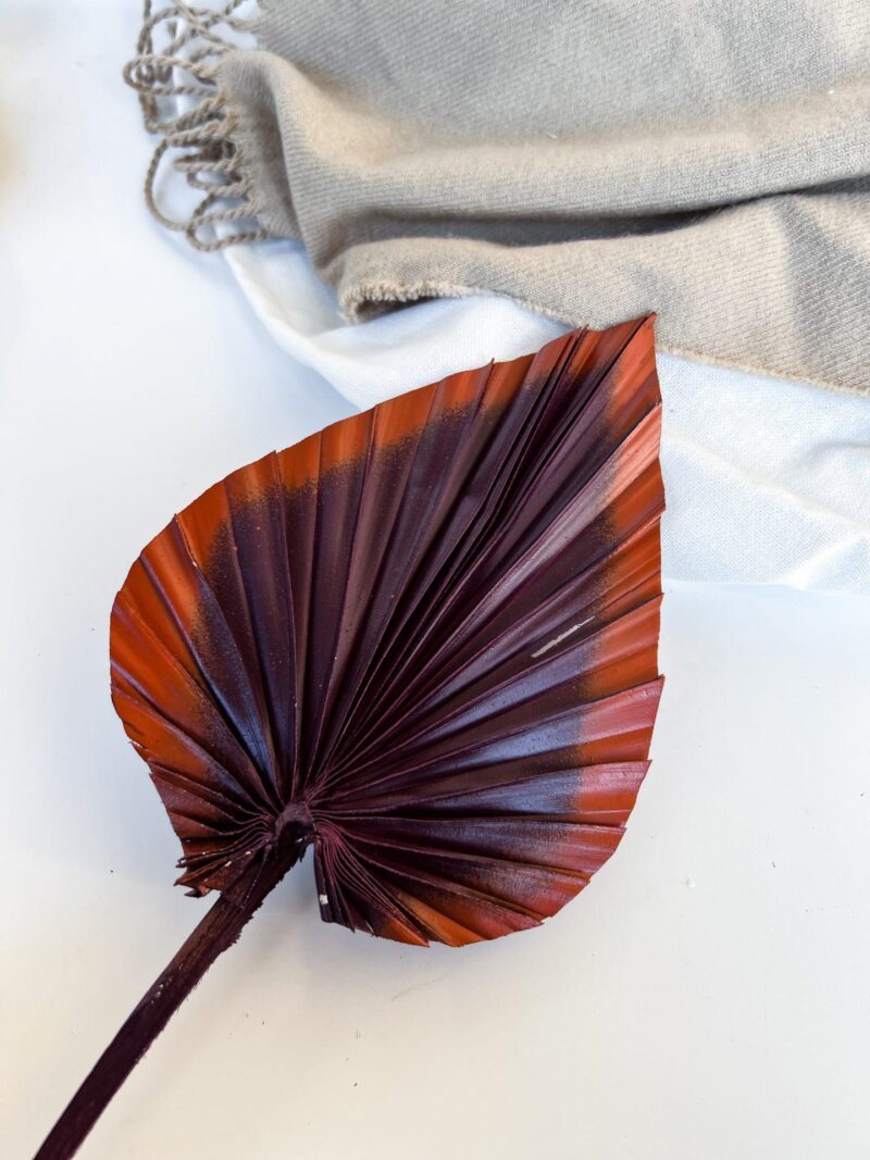Palm spear pruim/koper