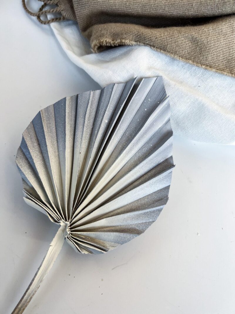 Palm Spear grijs/wit