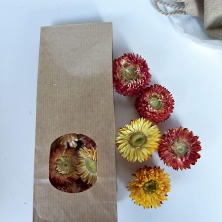 Bloemen Heads