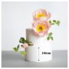 Taart Dummy rond 10cm -Ø20cm