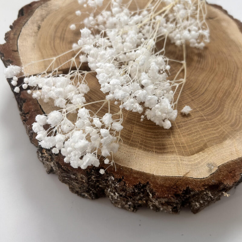 Gedroogd Gipskruid Kiara Pure wit - Afbeelding 2