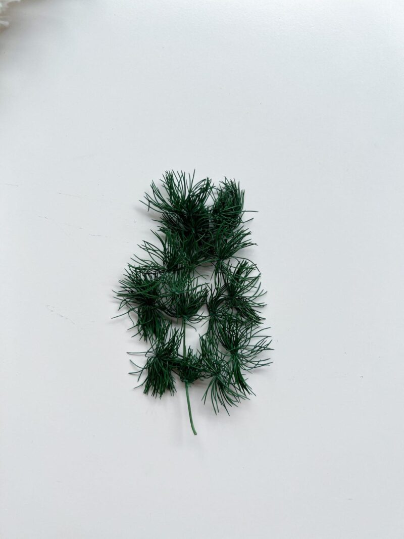 Asparagus Dark Green