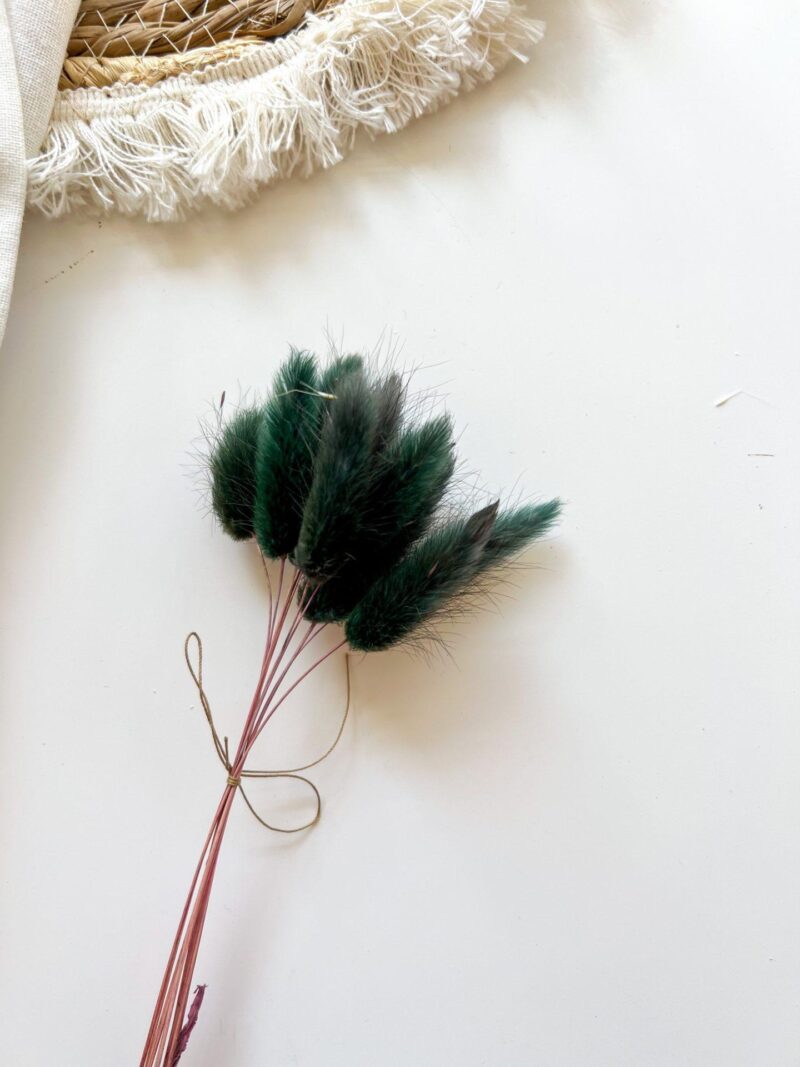 Gedroogde Lagurus Royal Green