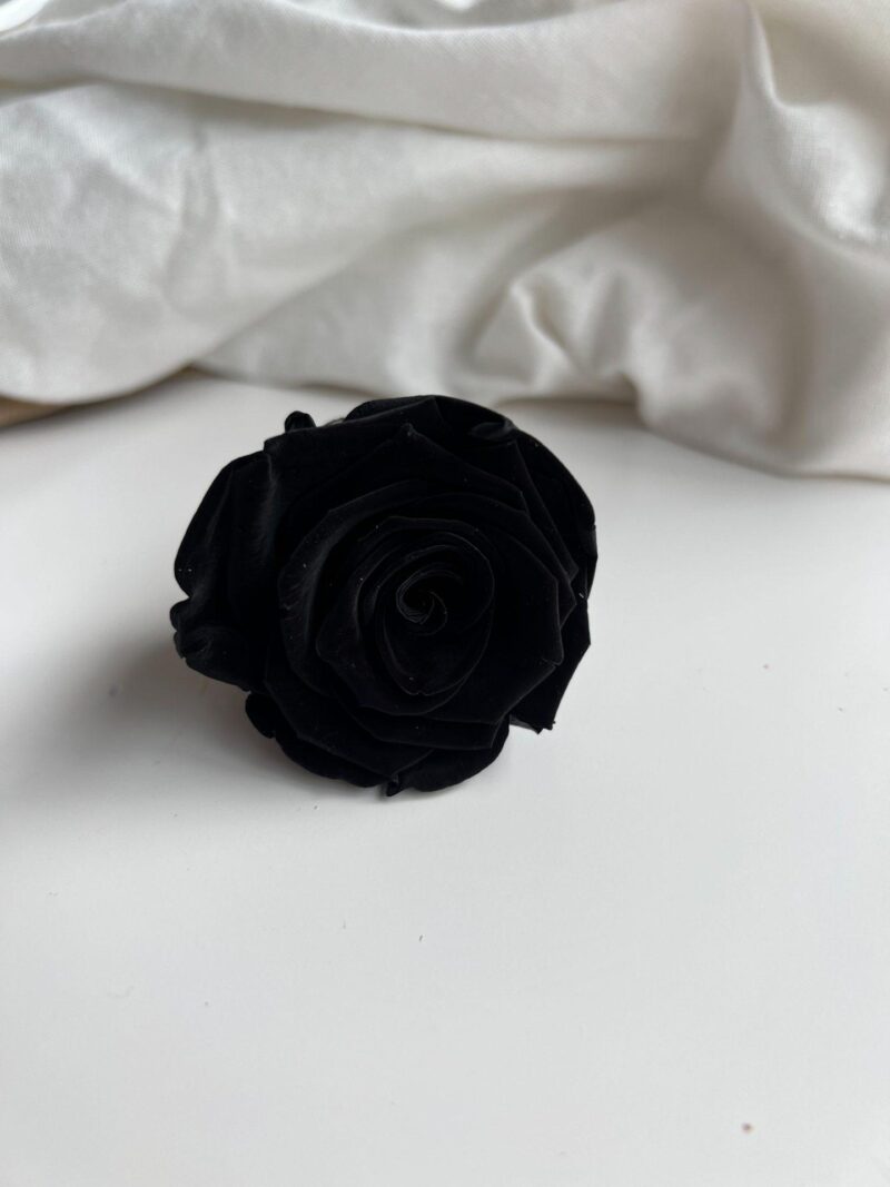 Gepreserveerde Roos L Black