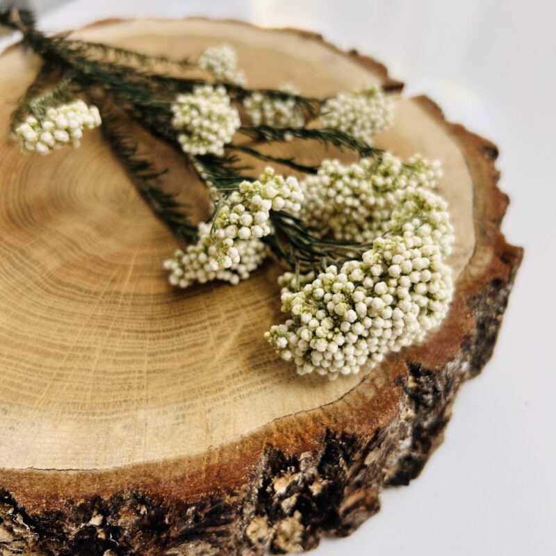 Rijstbloemen wit