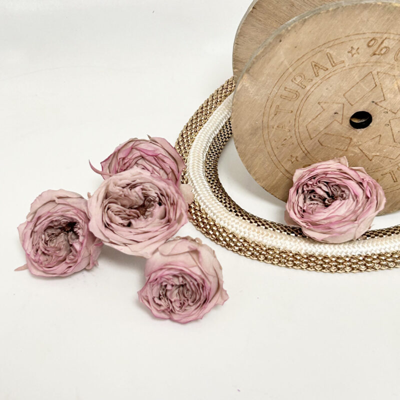 Gepreserveerde Engelse Roos M Pink Purple - Afbeelding 2
