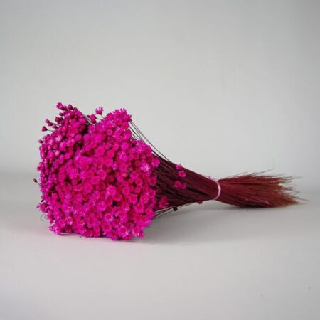 Gedroogdebloemen