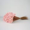 Gedroogde Glixia Roze - Afbeelding 2