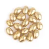 easter egg gold -pasen Goud Eiren