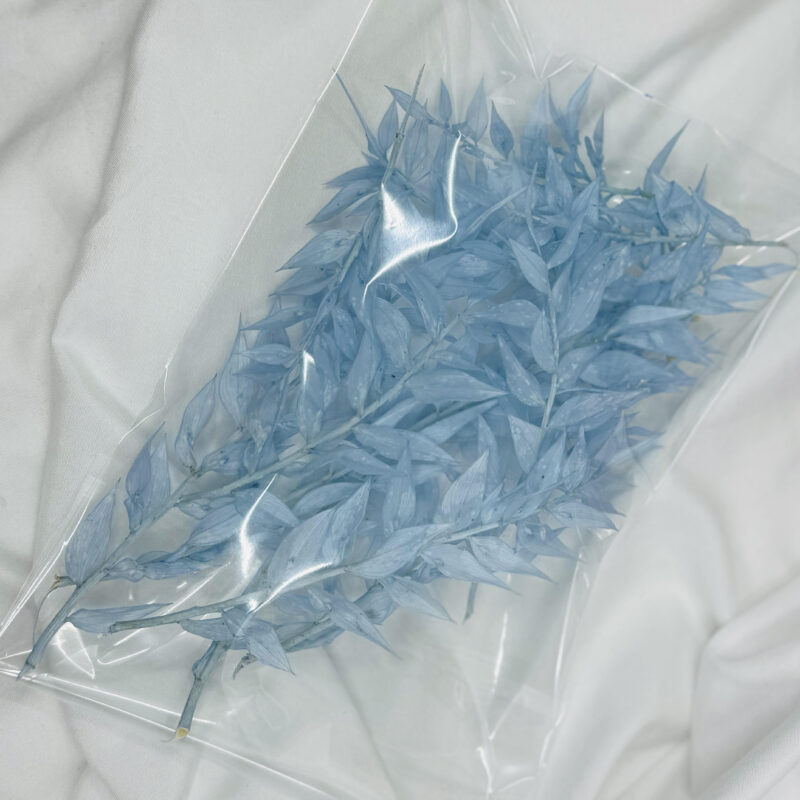 Ruscus zakje Light Blue