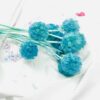 Scabiosa Light blue/turqoise - Afbeelding 2