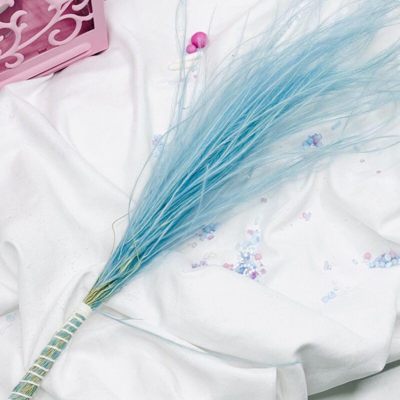 stipa blauw