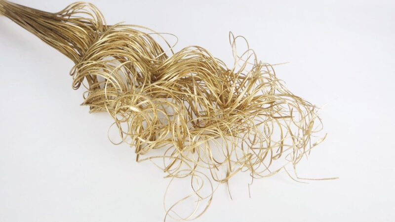curly ting goud