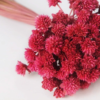 Hill Flower Dusty Pink
