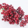 berry cluster on stem