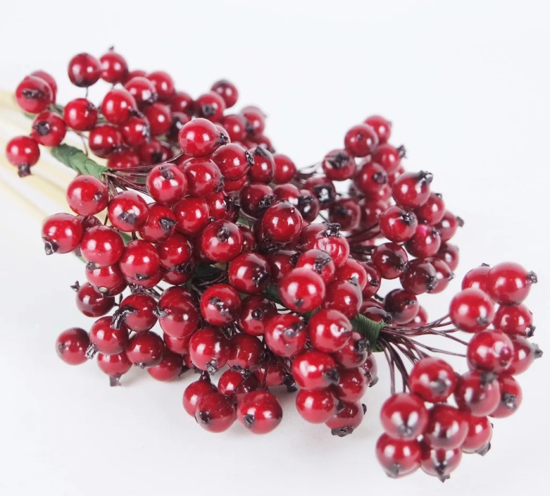 berry cluster on stem